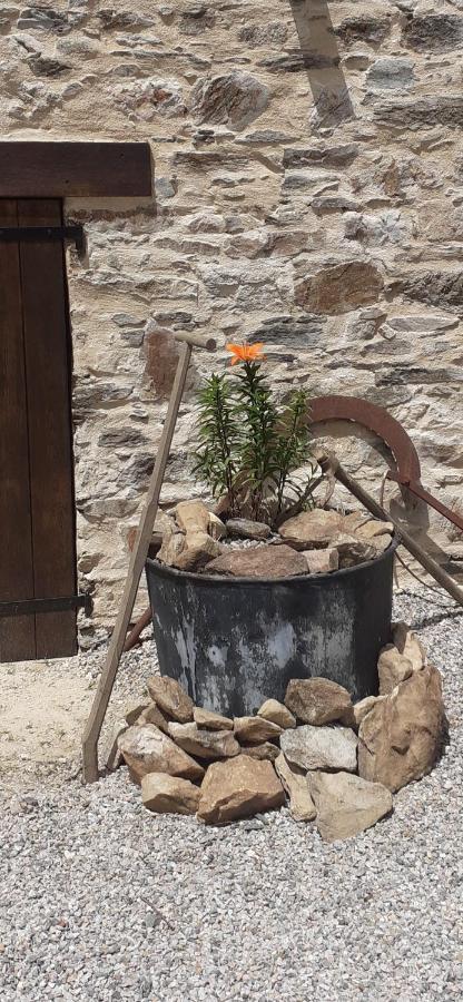 Chambre Dhotes B&B Le Figuier Benayes Екстериор снимка